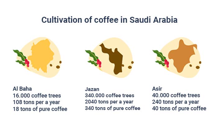 Where Saudi coffee is grown? | Rose Thermos